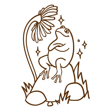 Brown drawing of a frog sitting on a rock