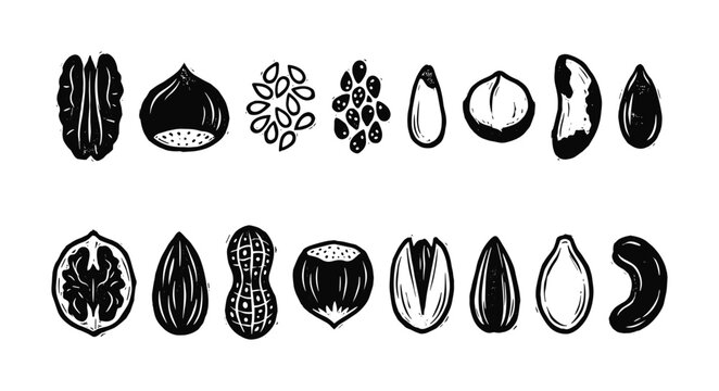 Collection of various nuts and seeds in a linocut style illustration