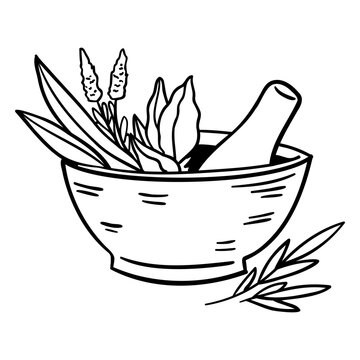 Elegant mortar and pestle herbal illustration