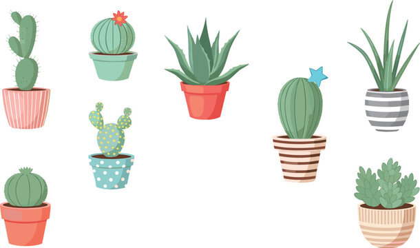 Cute cactus and succulent plants in decorative pots, colorful indoor houseplants collection with modern design isolated on white background vector illustration set