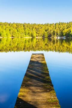 B&auml;ume und Steg am Nebelsee im Fr&uuml;hling in L&auml;rz