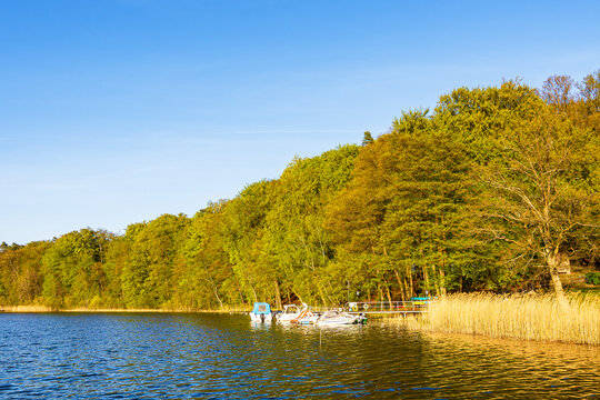 B&auml;ume und Steg mit Booten am Nebelsee im Fr&uuml;hling in L&auml;rz
