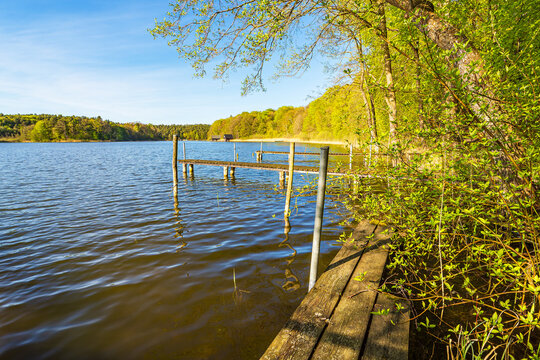 B&auml;ume und Steg am Nebelsee im Fr&uuml;hling in L&auml;rz
