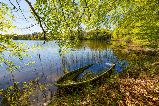 B&auml;ume und Boot am Nebelsee im Fr&uuml;hling in L&auml;rz