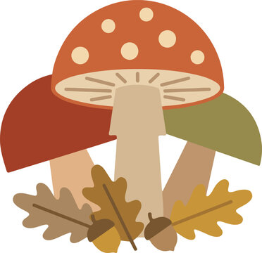 Group of three mushrooms with autumn oak leaves and acorns vector illustration mushrooms toadstool