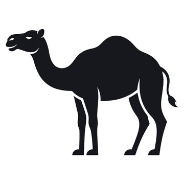 Eid ul Adha flat vector, camel silhouette, solid black shape, white background, minimal design