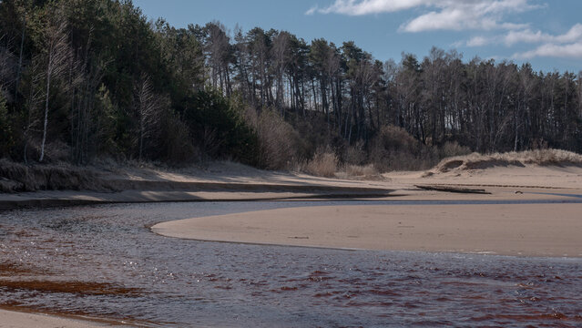 Forest river flowing into sandy Baltic Sea beach landscape