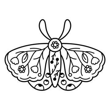 Intricate floral moth illustration in line art