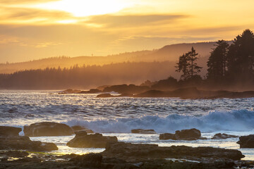Fototapeta premium Vancouver island