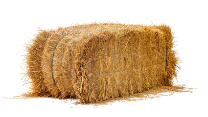 Large rectangular Hay Bale bound with twine and loose straw © Maria