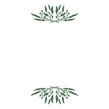 Elegant botanical leaf border design