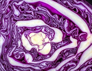 Obraz premium Rotkohl-Detailaufnahme (roh, angeschnitten)