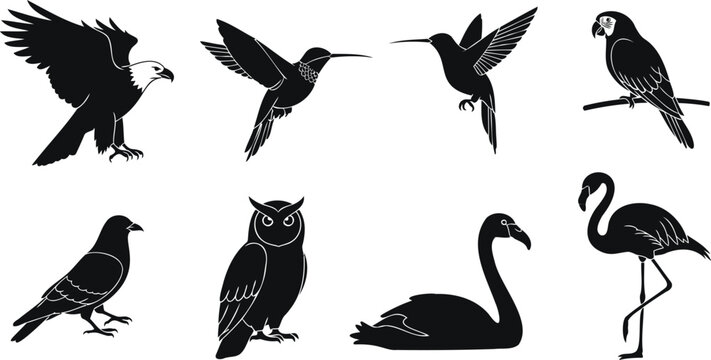 Black silhouette collection of diverse birds including eagle owl parrot flamingo pigeon and hummingbird