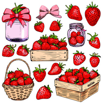 Hand Drawn Strawberry Illustration Set, Ripe strawberries in eco-friendly packaging. Summer juicy berries in doodle style
