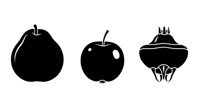 Pear, Apple, and Water Chestnut Silhouettes - Black and White Vector Icons
