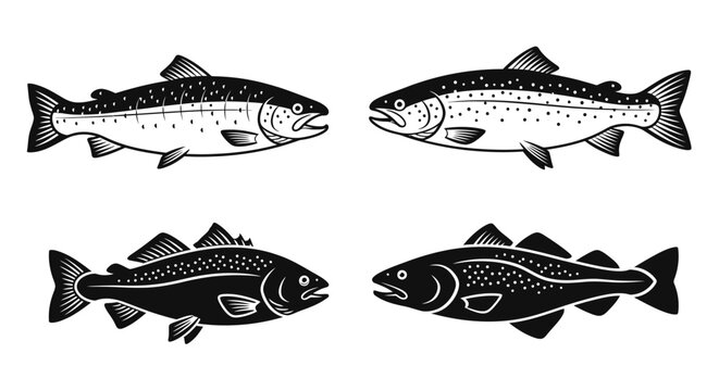 Two Pairs of Fish Silhouettes, Trout and Cod, Facing Each Other