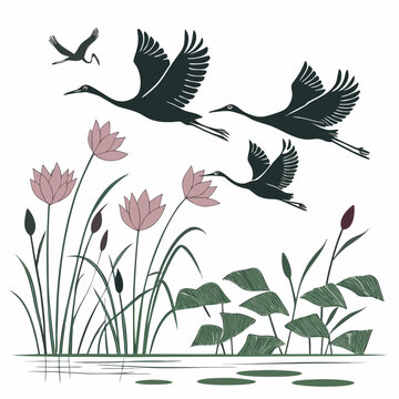 Silhouette of flying birds and lotus flowers over a pond stylized vector illustration high quality professional detailed
