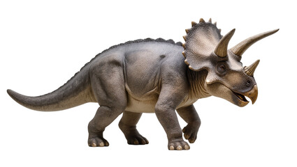 Gray Triceratops Dinosaur Standing with Horns and Frill © Natalia
