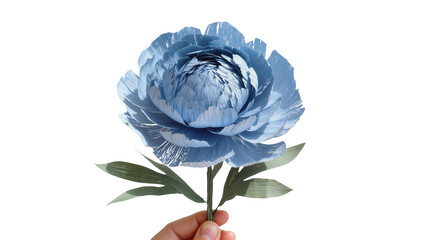 Hand holding a blue paper peony flower with green leaves, isolated on transparent background © Laura