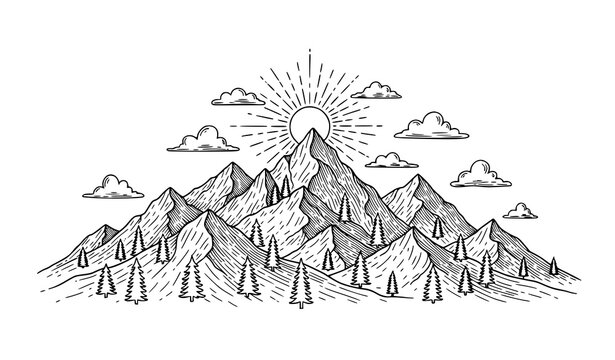 Scenic pine forest and mountain range line art, nature landscape with sun rays
