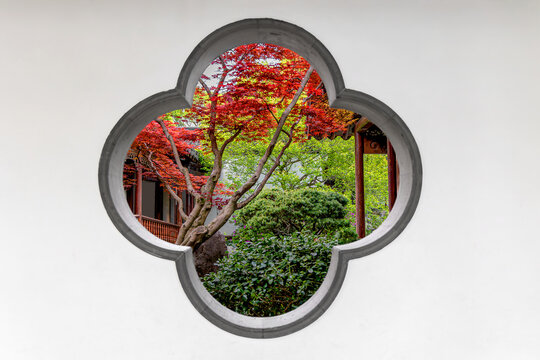 Details of Chinese classic garten architecture art to add space and dimension - a plum petal shape window frame on the wall to revail the garten plants and flower