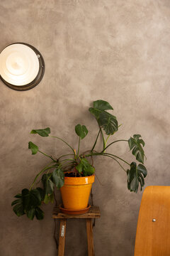 hip minimal cafe with wood chairs, smooth concrete wall, potted plants, and minimal light fixture