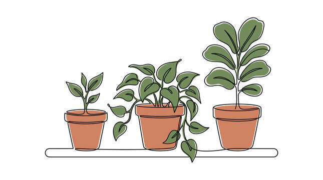 Continuous Line Drawing of Minimal Indoor Plant Collection Vector