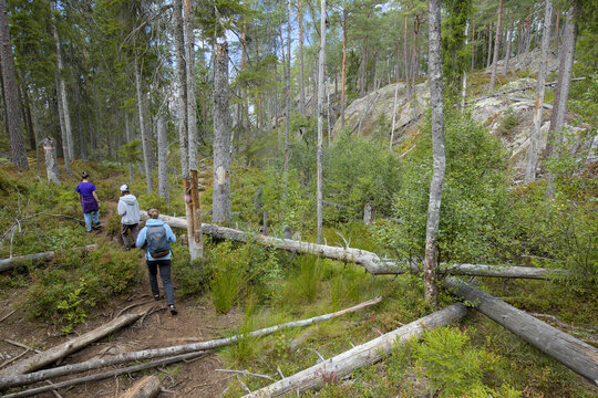 Tourists in Tiveden National Park, Sweden