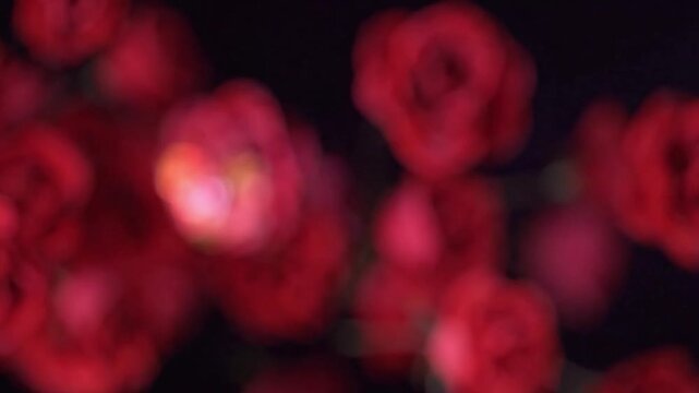 Softly blurred red roses create a romantic and elegant background, perfect for expressing love and passion in various visual projects and designs