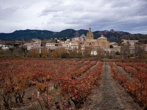 San vicente de la sonsierra village overlooking autumn vineyards