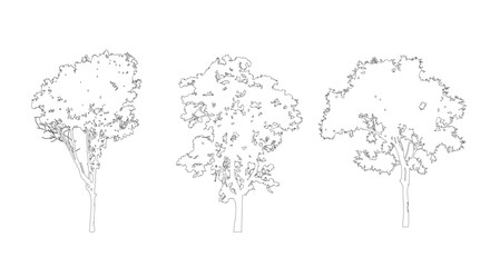 Obraz premium Tree CAD Blocks Vector Set Architectural Trees Elevation and Plan View for Landscape Architecture AutoCAD Drawing Elements