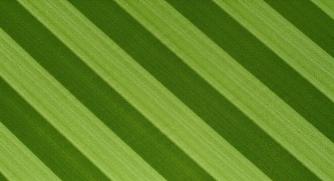 Diagonal green striped natural texture