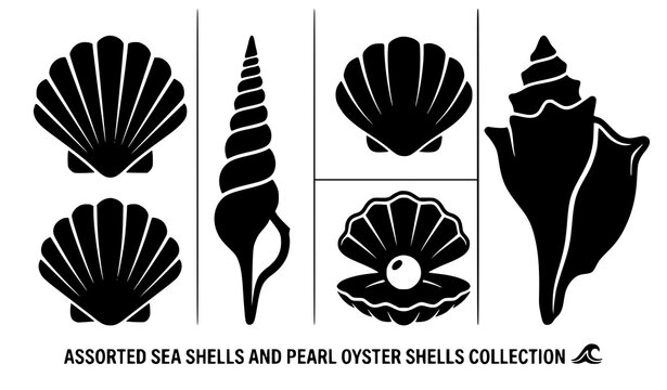 Sea shells silhouette vector pearl oyster shell icon set isolated