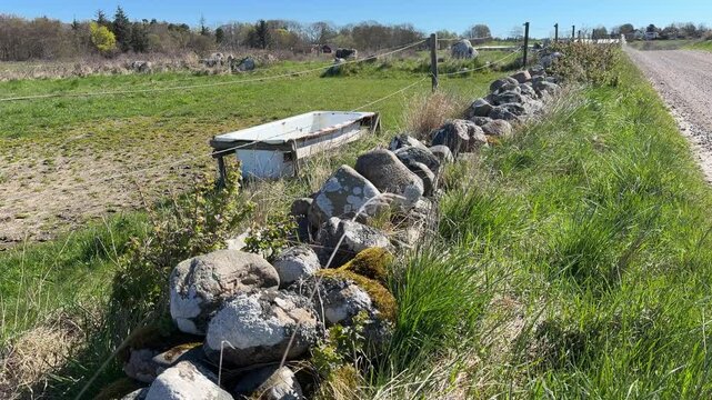 Wind moving grass in rural countryside with stone wall and water trough, calm natural landscape with subtle motion and sunny spring atmosphere