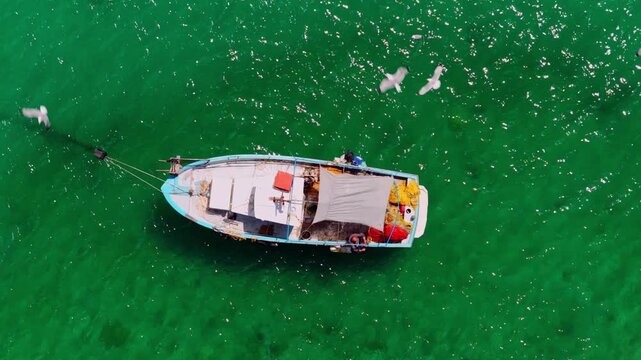 Ascending drone shot of a traditional fishing boat in turquoise water as seagulls enter the frame. A peaceful cinematic scene of maritime life and coastal nature.