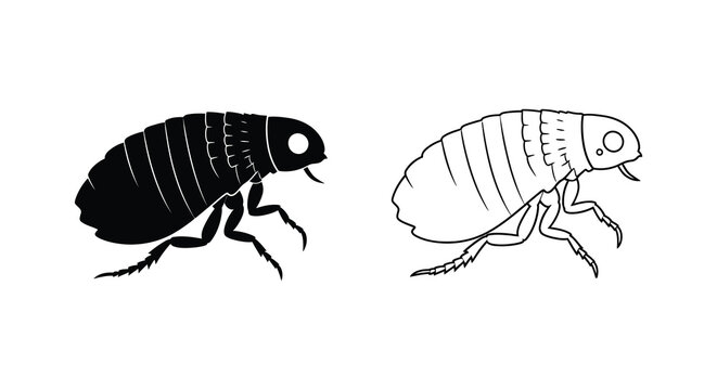 Flea insect silhouettes black and white illustration silhouette high quality professional