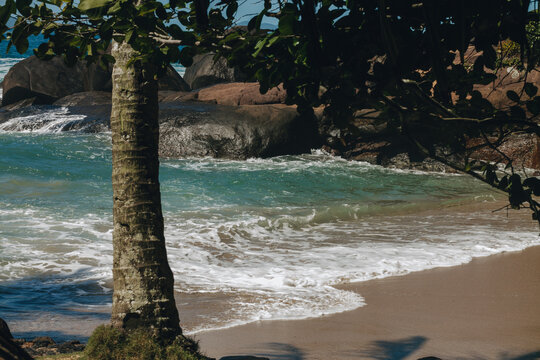 Praia paradis&iacute;aca com mar azul e ondas suaves. Um tronco de coqueiro,  folhagens que forma uma moldura e rochas escuras. Composi&ccedil;&atilde;o tropical ensolarada, ideal para temas de viagem e relaxamento.
