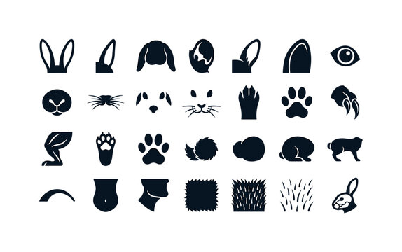 Rabbit body parts like ears paws tails whiskers noses and anatomical features of domestic pet rabbits clean solid filled icon set