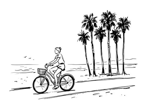 Los Angeles beach promenade cyclist sketch, minimalist palm tree line art, hand drawn brush vector illustration