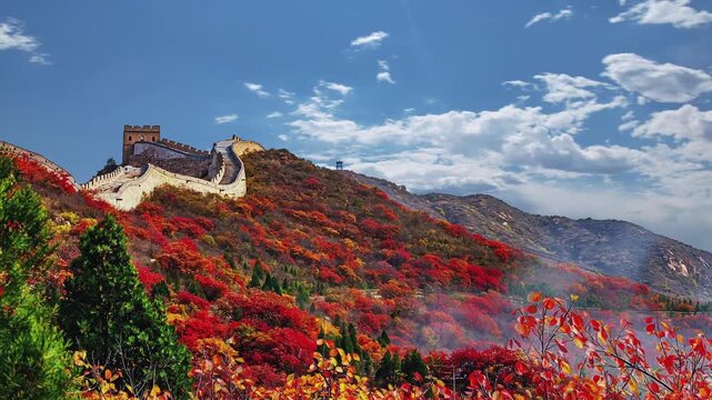 Timelapse of the vibrant autumn colors at the Badaling Great Wall, as the red leaves change with the seasons, showcasing the stunning beauty of the ancient structure.