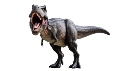 Fotobehang Dinosaurussen Gray Tyrannosaurus Rex Roaring with Open Mouth and Sharp Teeth  © Andrei