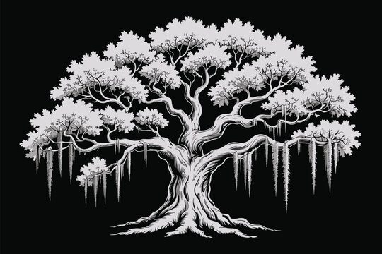 Spanish moss live oak tree, silhouette vector, elegant tree artwork with hanging moss branches representing southern nature landscape and botanical illustration.