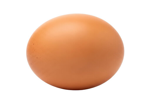 A freshly laid brown chicken egg with a smooth and slightly glossy surface.