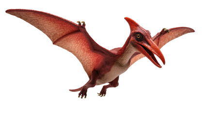 Detailed Brown Red Pterosaur Flying with Open Beak and Spread Wings © Andrei