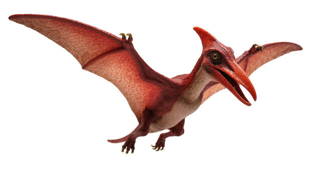 Detailed Brown Red Pterosaur Flying with Open Beak and Spread Wings