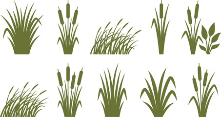 Reed Grass and Marsh Plant Silhouette Set with Cattails, Wetland Vegetation, Tall Wild Grasses, and Natural Botanical Elements for Landscape and Nature Design © tofajjol studio