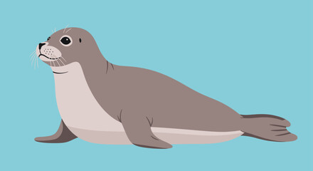 A gray seal with a white belly lies on a blue background. © VectorNest Studio