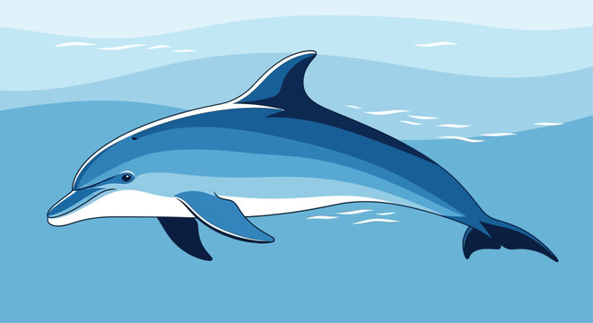 A dolphin swims in the ocean with its dorsal fin and tail visible above the water surface.