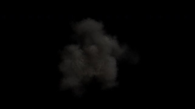 Exploding military bomb blast in mid-air, alpha channel transparent background, 2 speeds, 4k 24p