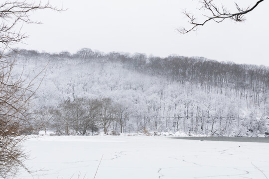 Snowy landscape in New York City park